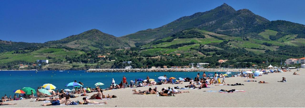 Maison Charmante A Argeles Sur Mer Pres De La Plage Avec Piscine Partagee Luaran gambar
